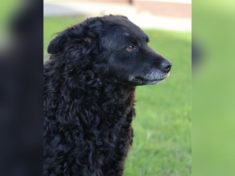 Ina ein braves ruhiges Mädchen