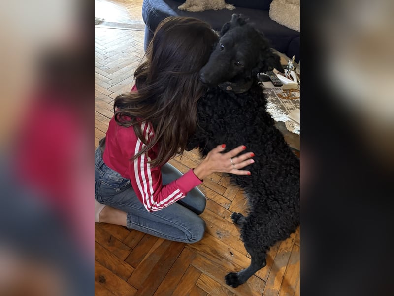 Ruška eine absolut liebenswerte Hündin