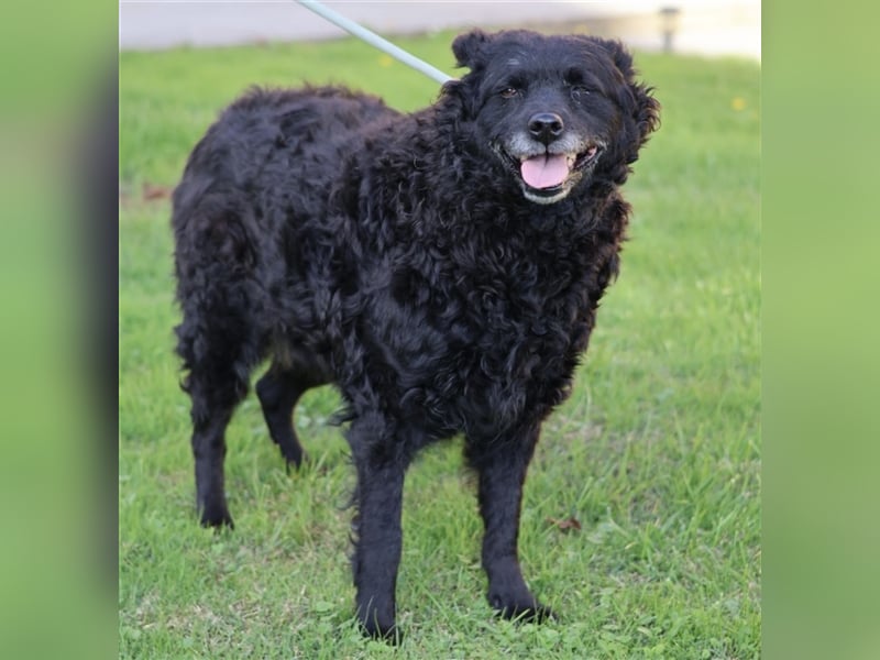 Ina ein braves ruhiges Mädchen