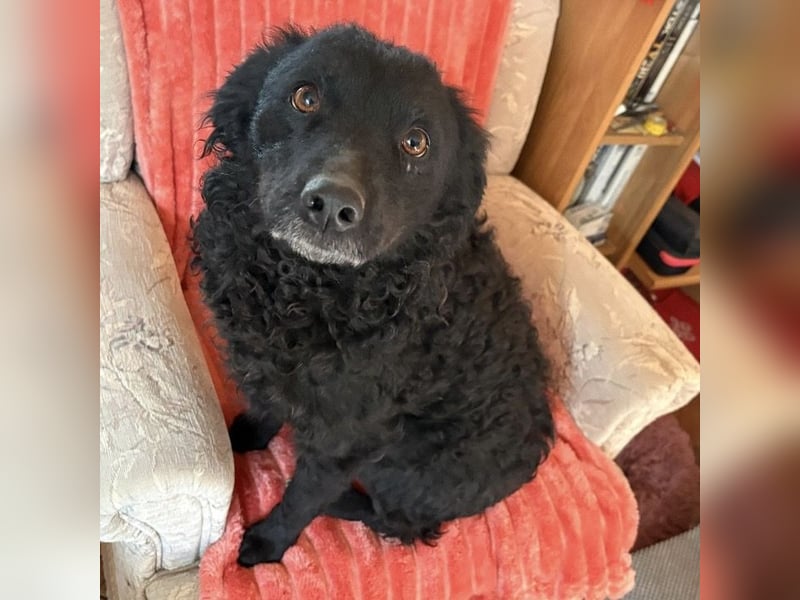 Gara eine wundervolle Freundin fürs Leben