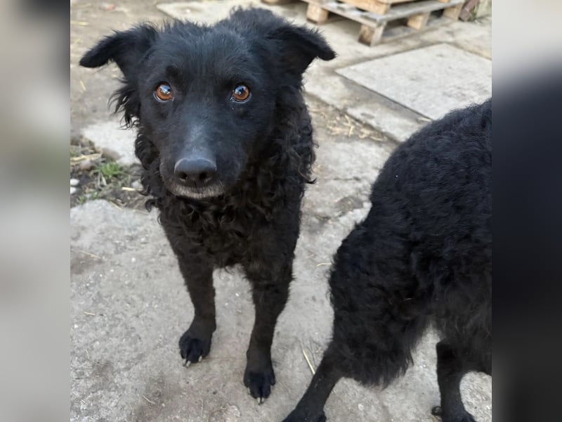 Gara eine wundervolle Freundin fürs Leben