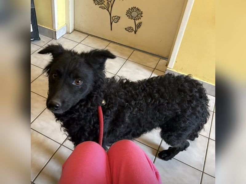 Gara eine wundervolle Freundin fürs Leben