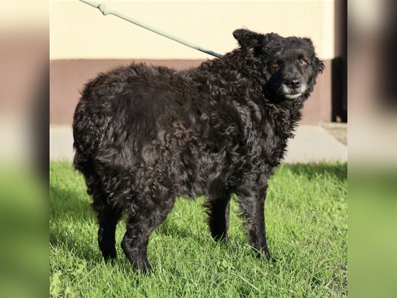 Ina ein braves ruhiges Mädchen