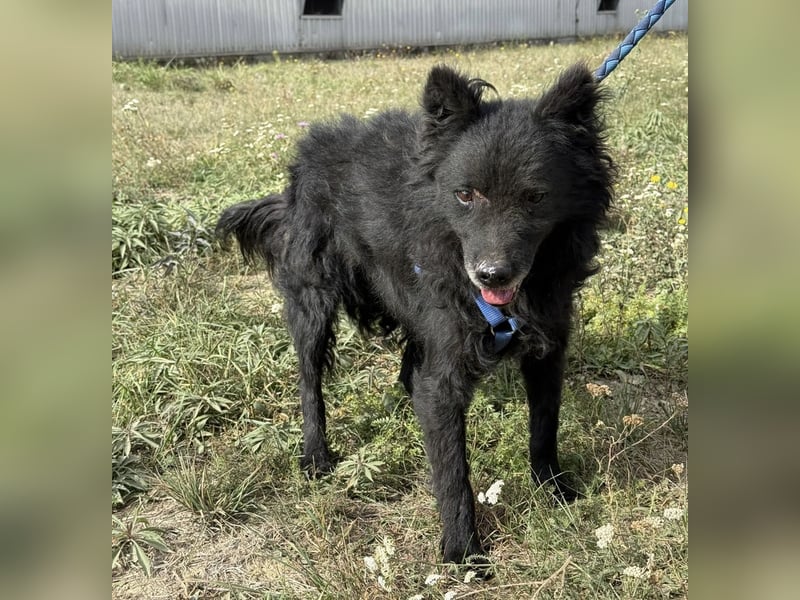 Medo ein besonderer Schatz