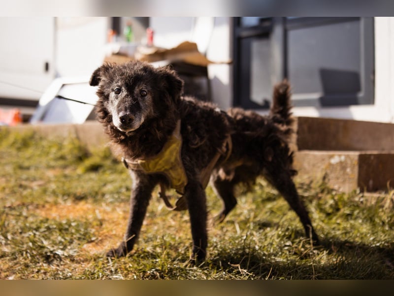 OldBoy♥Billy♥ Senior sucht Treue & Liebe