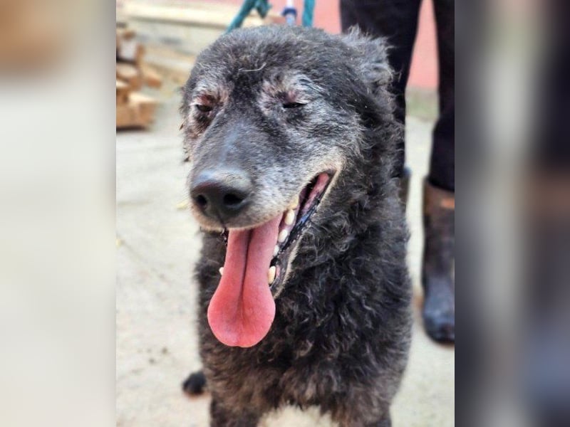 OldBoy ♥Billy♥ Senior sucht Treue & Liebe