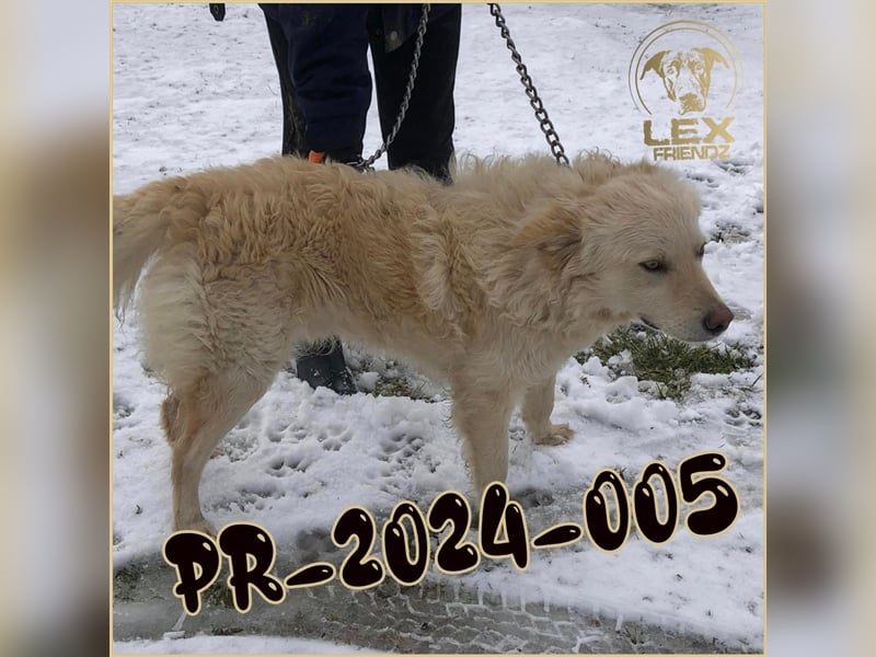 PR-2024-005 hofft auf Rettung