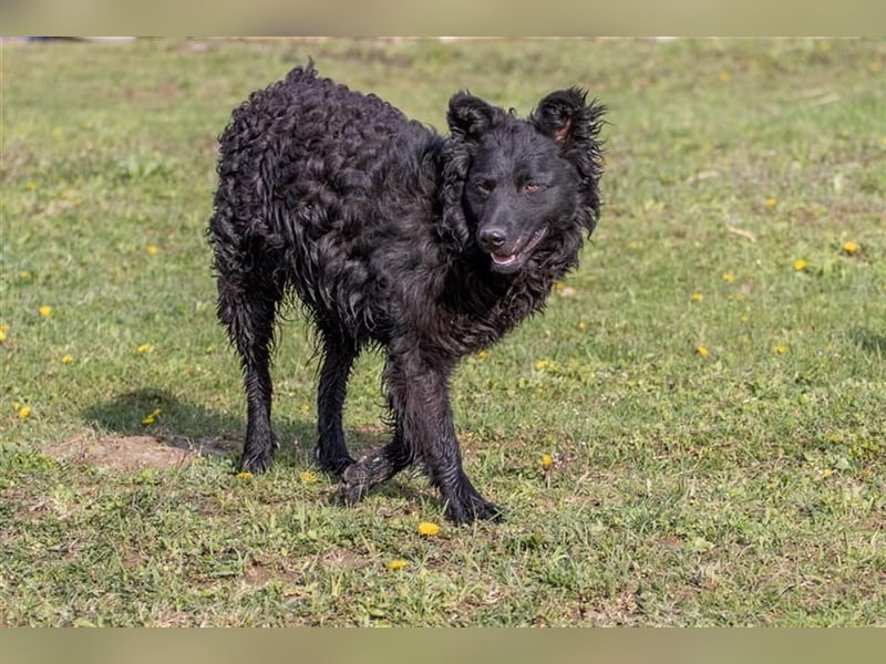 ❤️ Arči