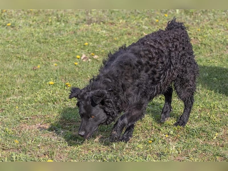 ❤️ Arči