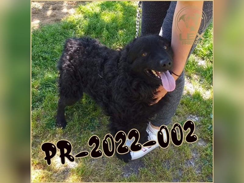 PR-2022-002 hofft auf Rettung