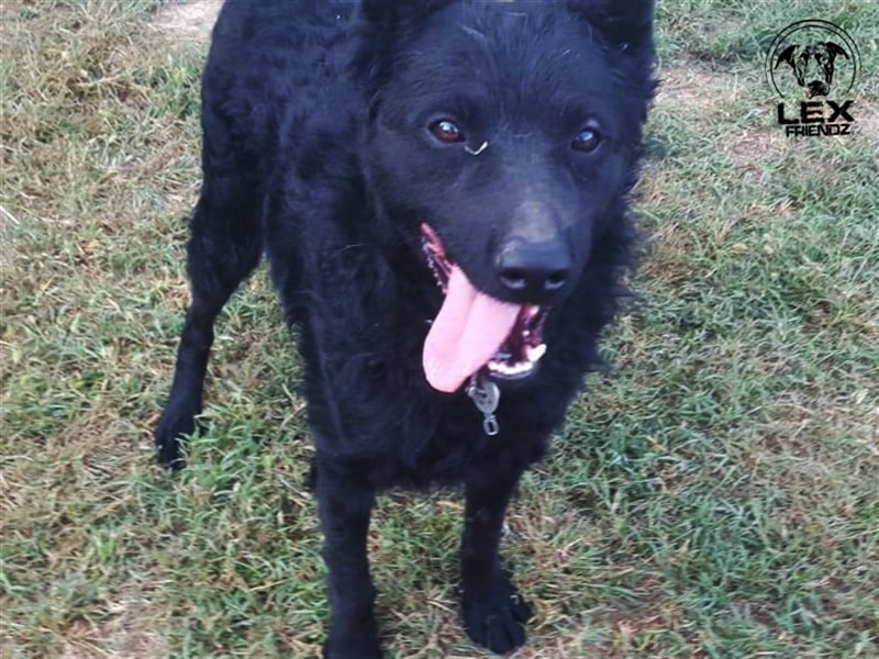 Shadow - sucht aktive Familie