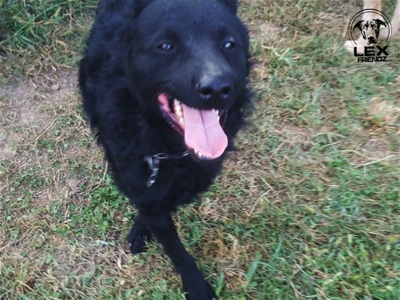 Shadow - sucht aktive Familie
