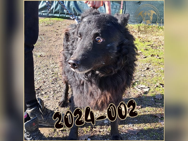 2024-002 hofft auf Rettung