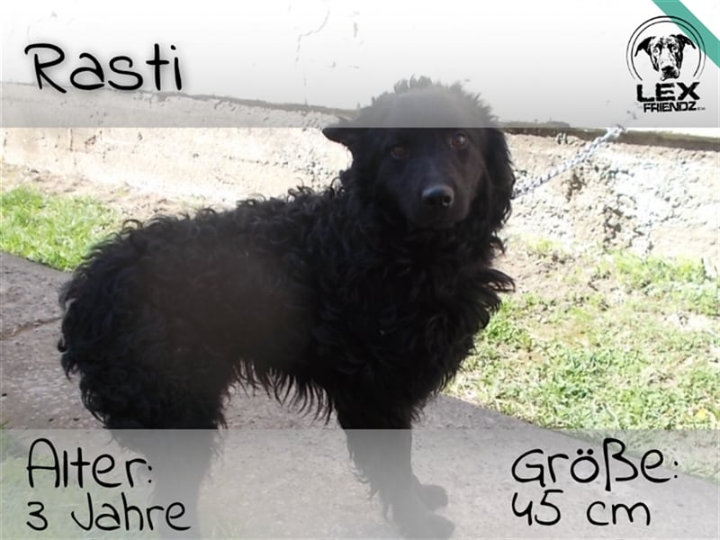 Rasti - junger, ängstlicher Bub