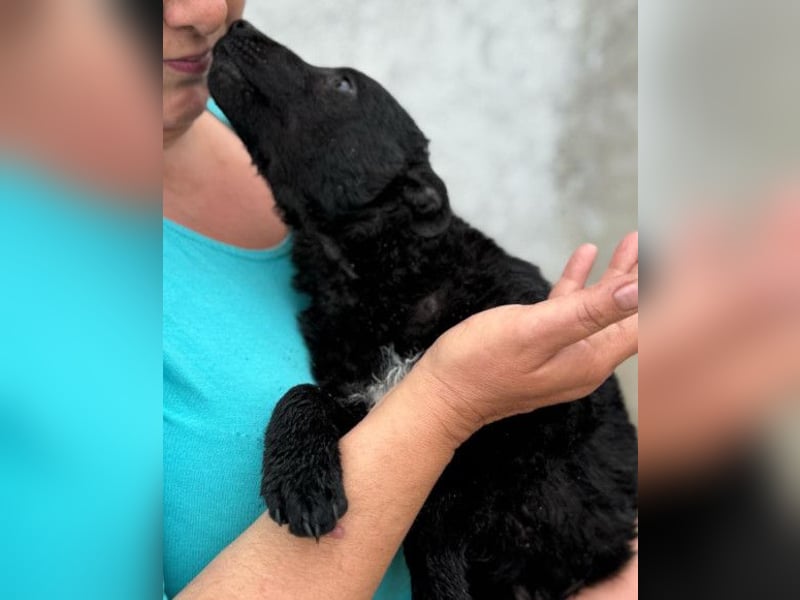 Vinn ❤️ schmusiger, süßer Bub sucht Liebe