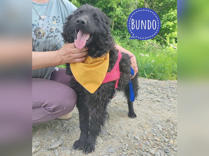 Bundo ein Schatz