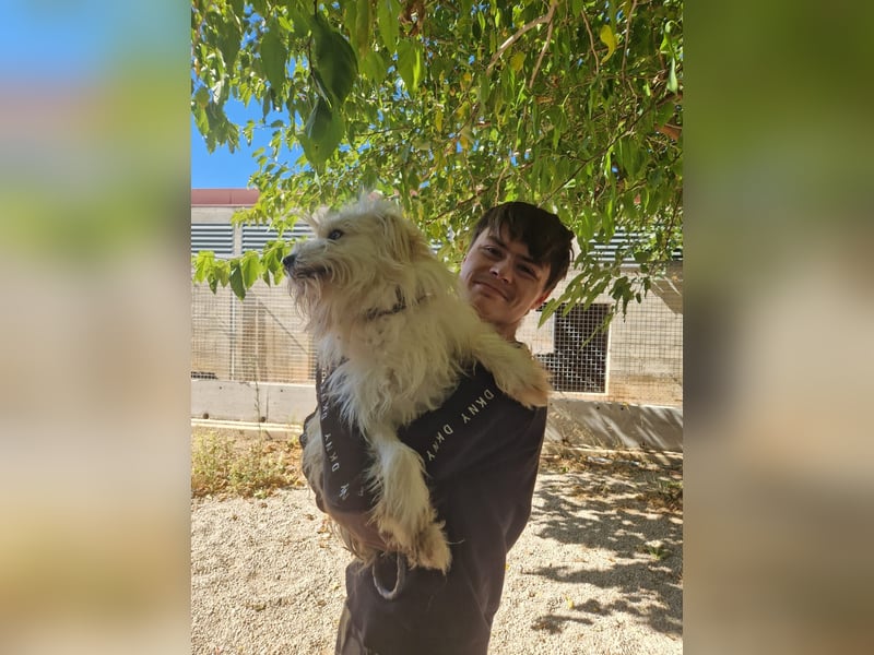TOSHI auf Pflege in Goch, NRW