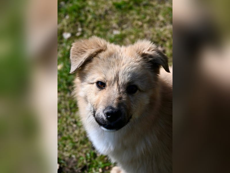 Armando - sooo niedlich