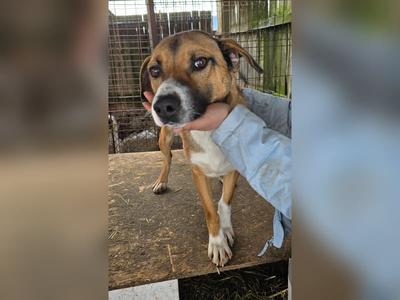 Rusty - superfreundlich