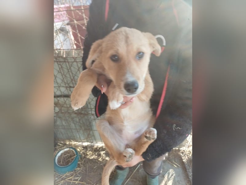 Jessica - zuckersüß