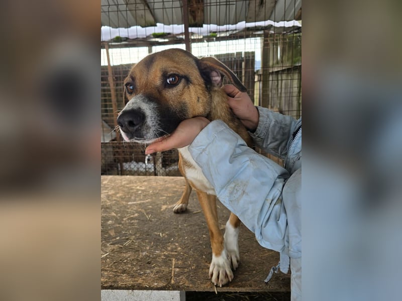 Rusty - superfreundlich