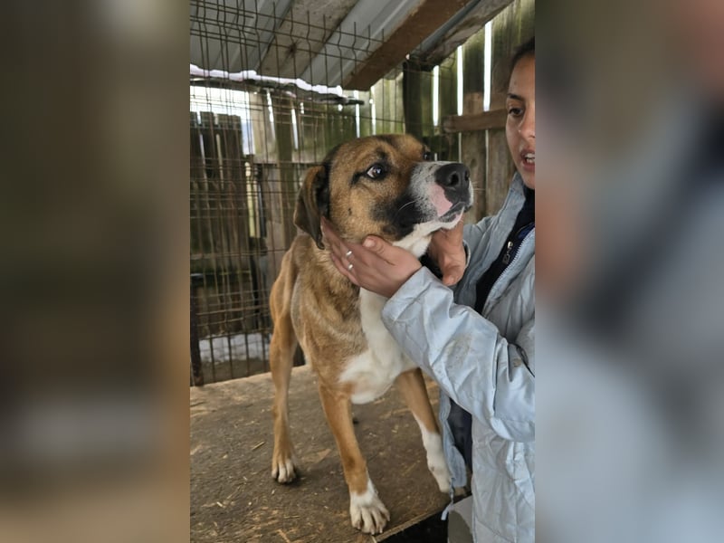 Rusty - superfreundlich