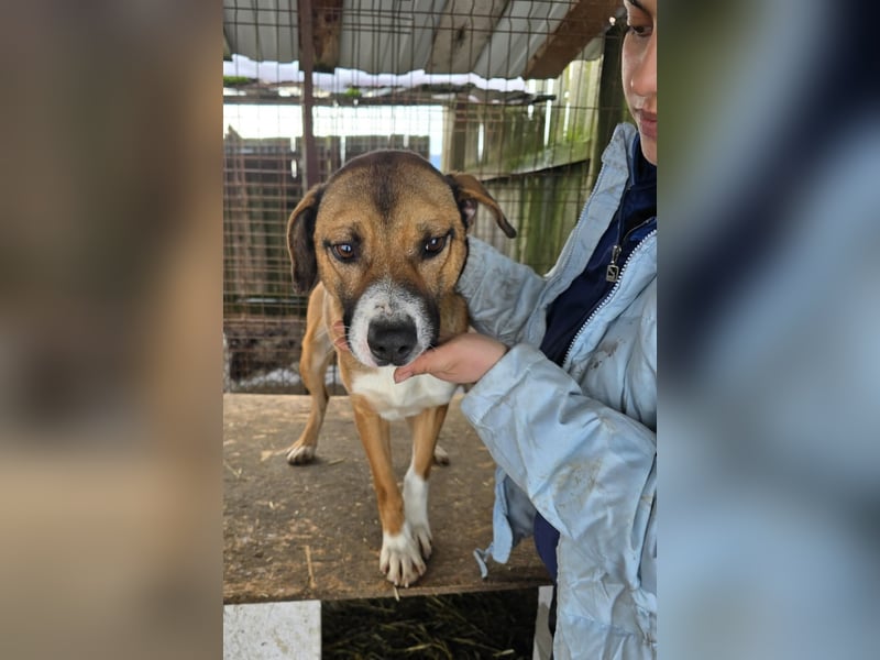 Rusty - superfreundlich