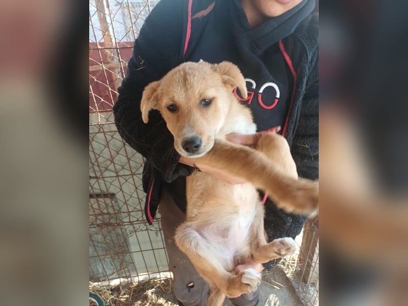 Jessica - zuckersüß