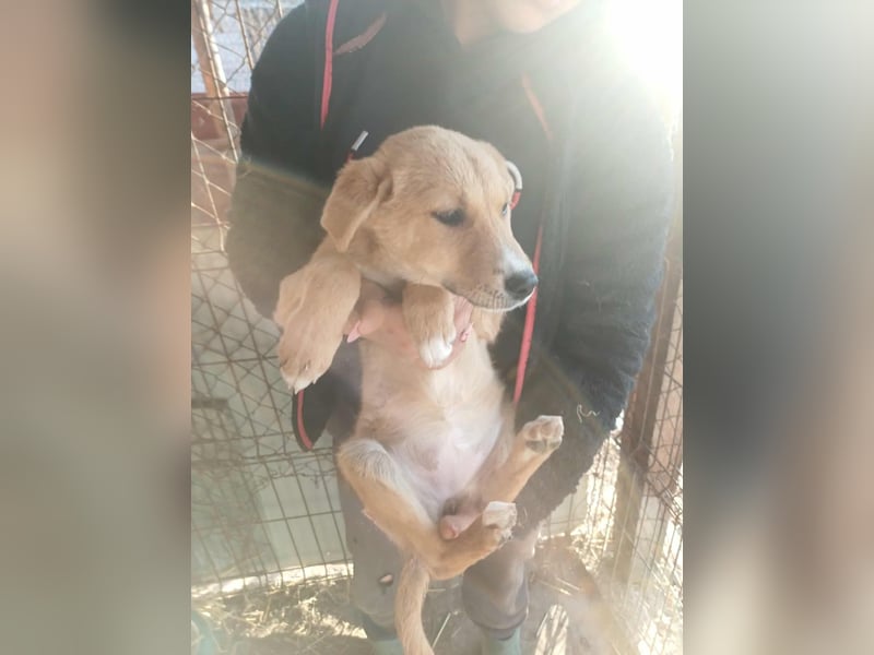 Jessica - zuckersüß