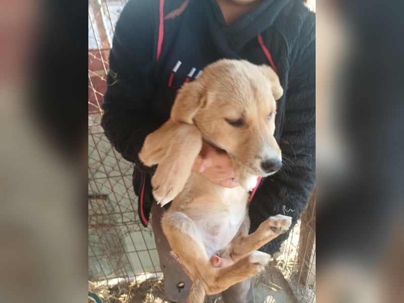 Jessica - zuckersüß