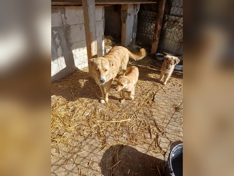 Jessica - zuckersüß