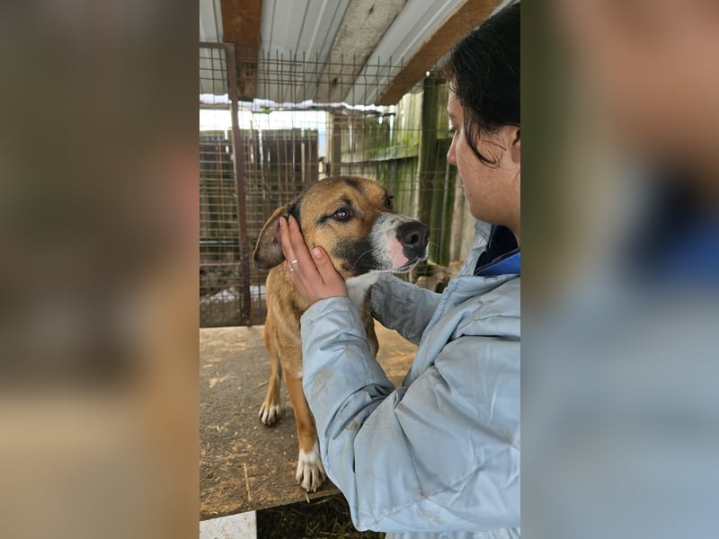 Rusty - superfreundlich