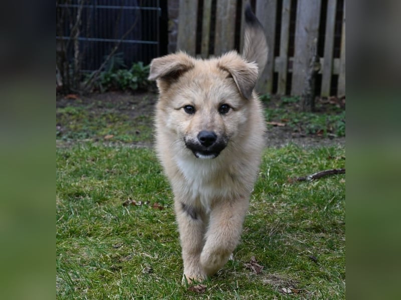 Armando - sooo niedlich