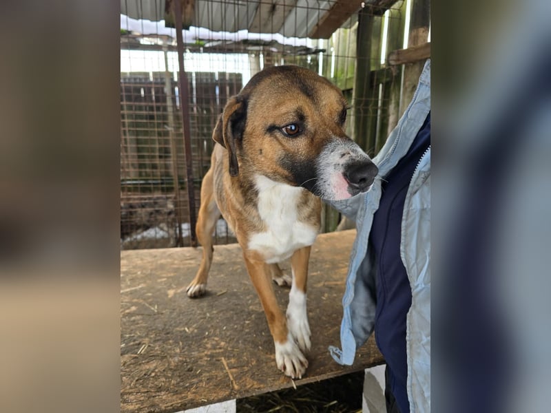 Rusty - superfreundlich