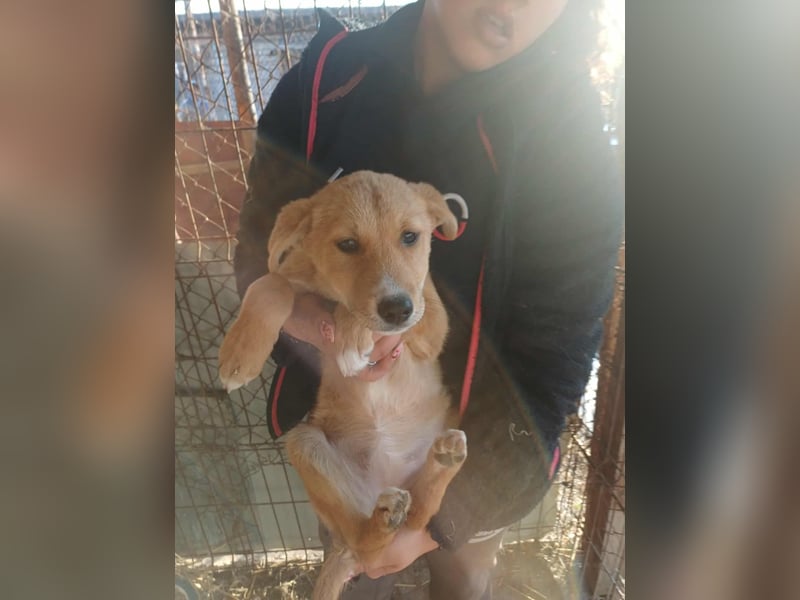 Jessica - zuckersüß