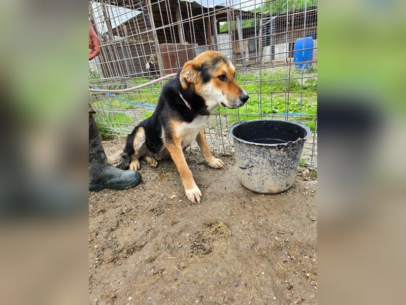 James - wurde abgesagt