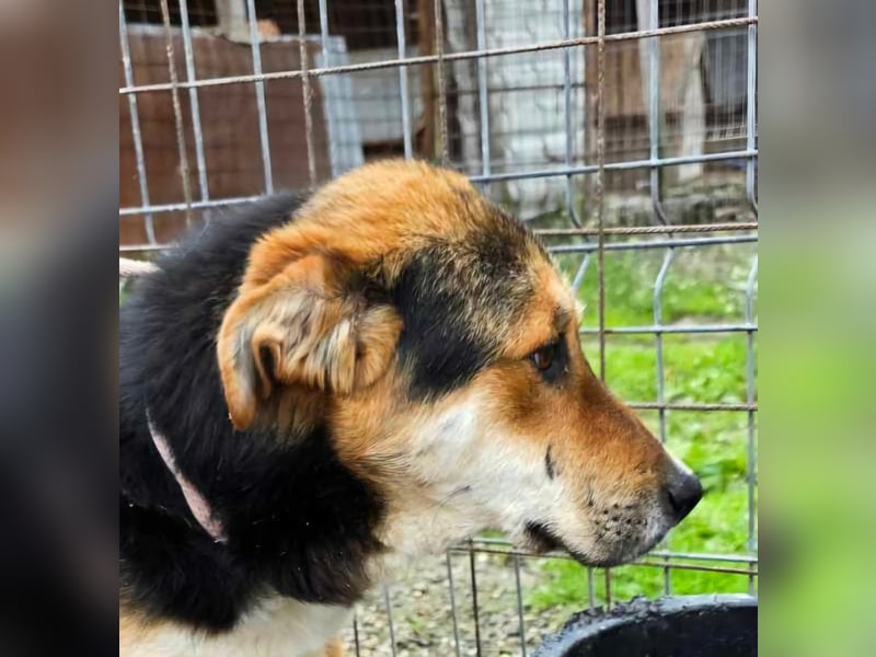 James - wurde abgesagt