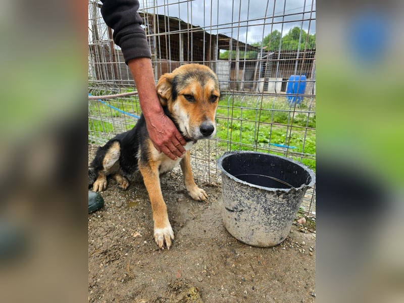 James - wurde abgesagt