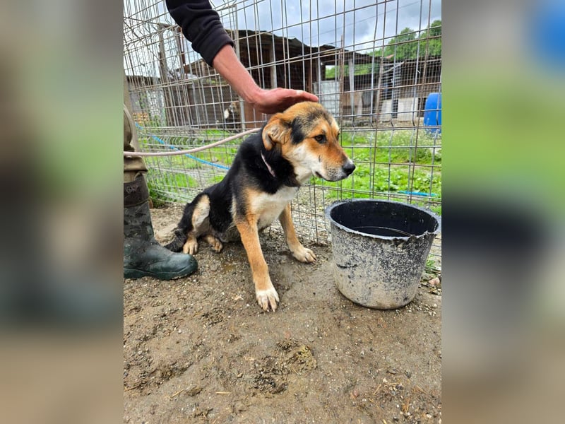 James - wurde abgesagt