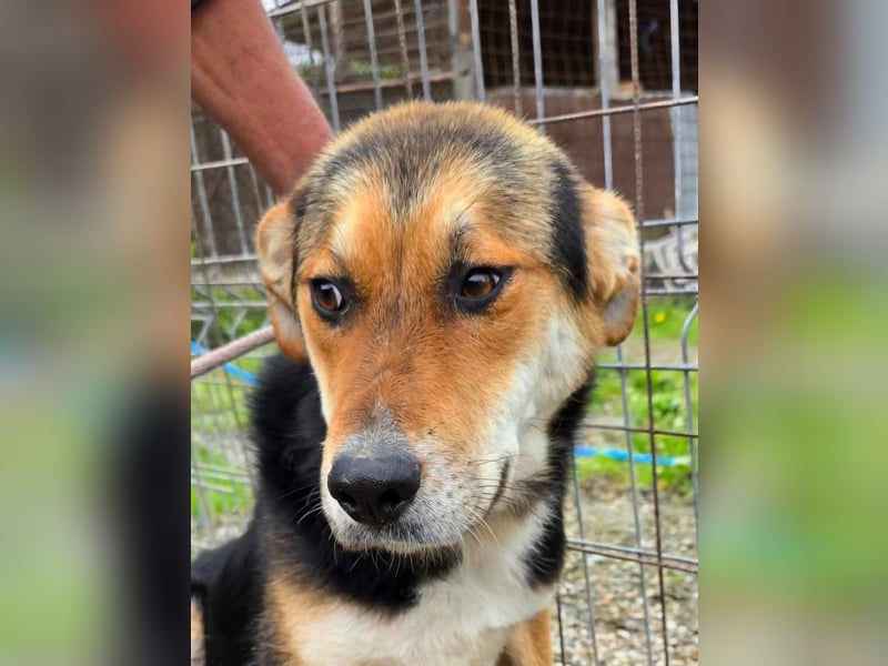 James - wurde abgesagt