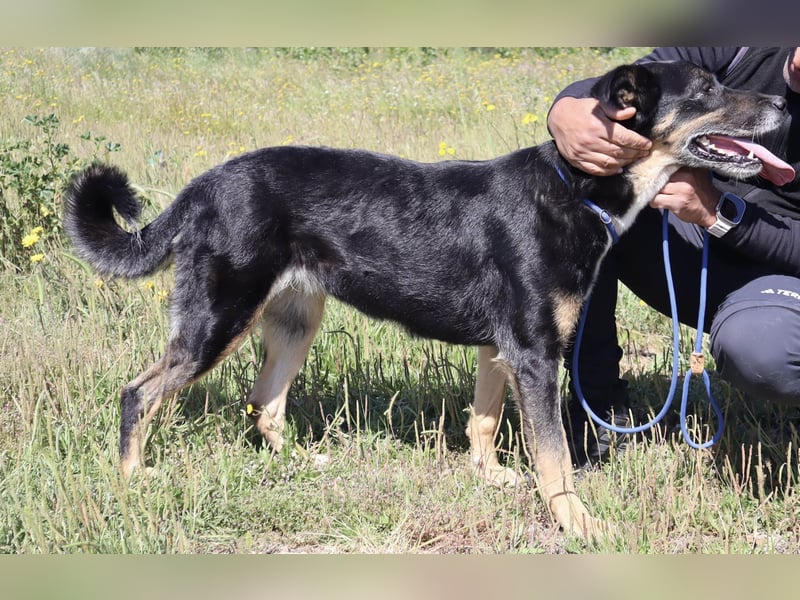 Typisch Treue Seele ♦️MIMI♦️ in der Cantinho da Milu 3/2025