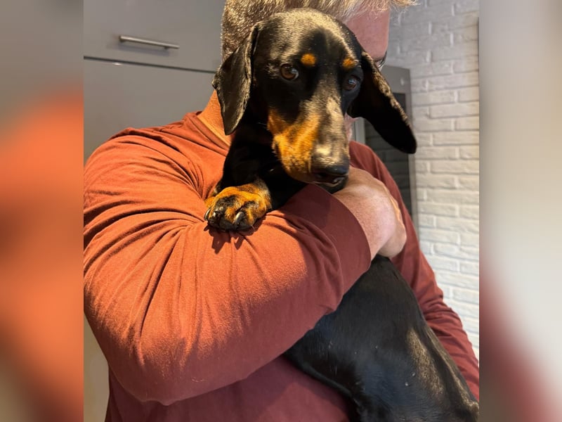 Döme