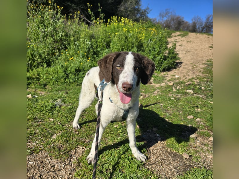 Befanino: er liebt Menschen über alles