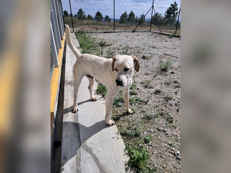 ❤️ MOISES ❤️