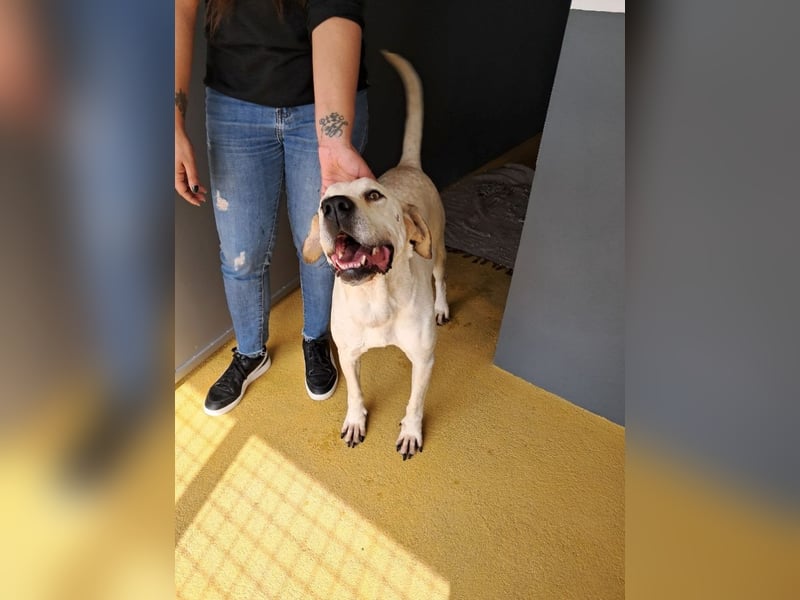 ❤️ MOISES ❤️