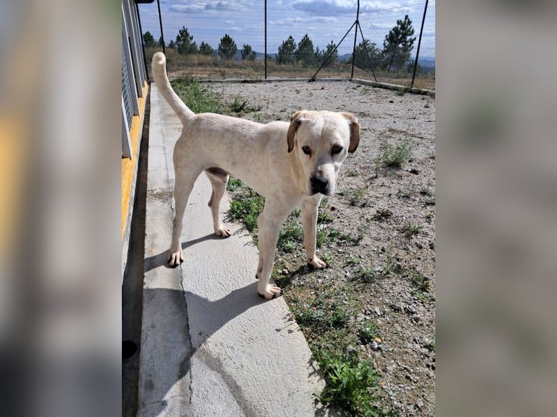 ❤️ MOISES ❤️