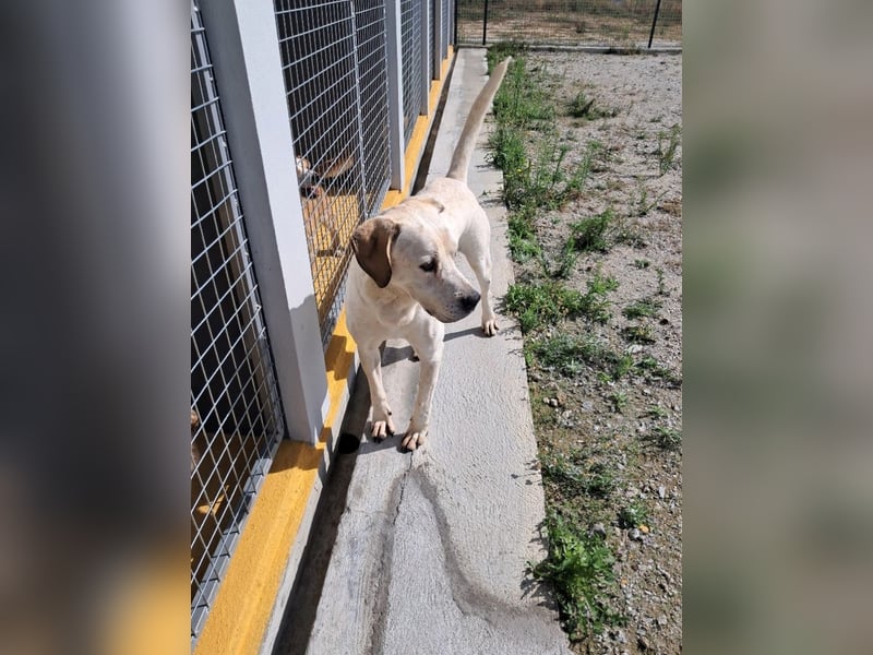 ❤️ MOISES ❤️