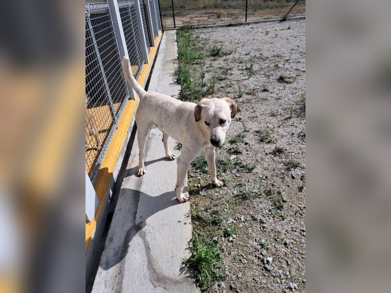 ❤️ MOISES ❤️