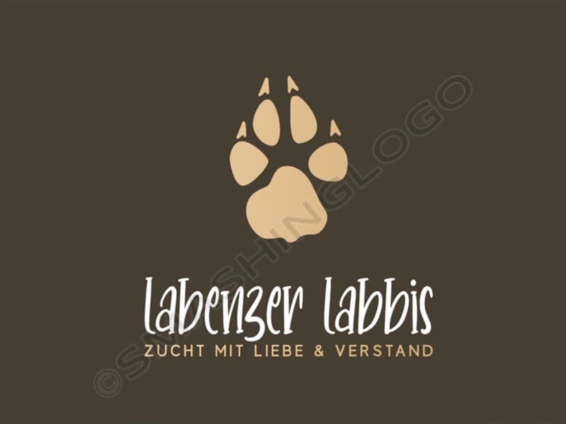 Wurfplanung für 2026/2027 - reinrassige Labrador Welpen