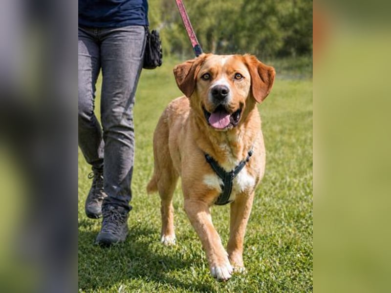 Valentim - ein Powerpaket